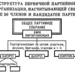 Структура первичной партийной организации.